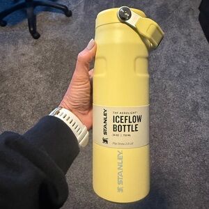 Stanley Ice Flow, 24oz